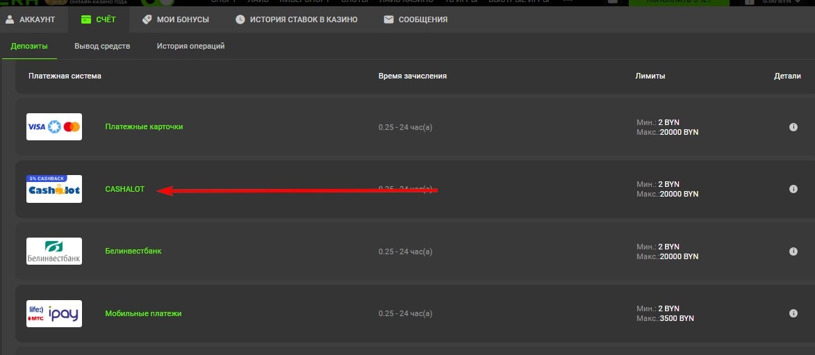 Пополнение через Cashalot